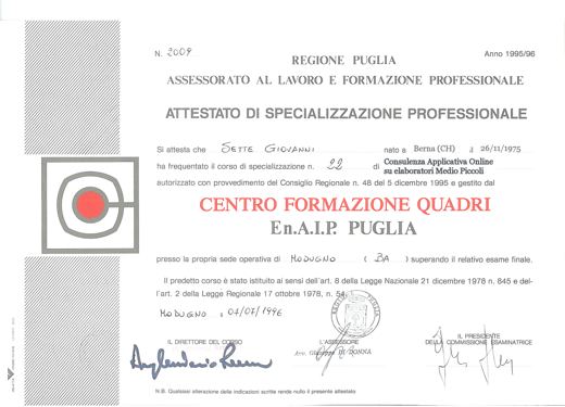 Analista programmatore · Consulenza applicativa online